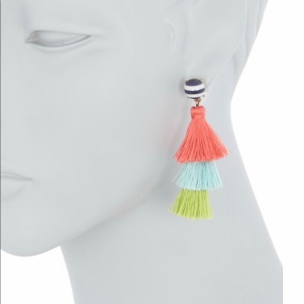 J. Crew - Stripped Tassel Drop Earrings - Picture 2 of 2